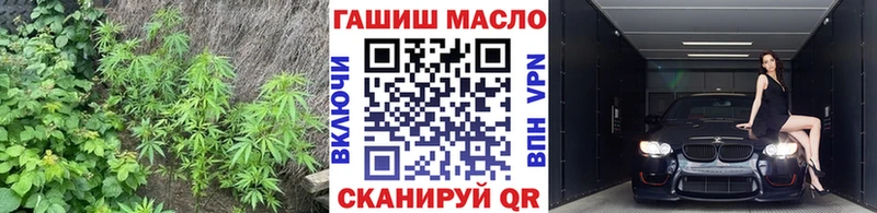 где купить   Ачхой-Мартан  Дистиллят ТГК Wax 