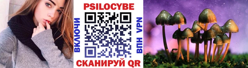 blacksprut ТОР  Ачхой-Мартан  Галлюциногенные грибы Cubensis 
